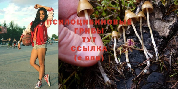 тгк Балахна