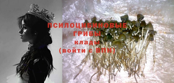 молекула духа Баксан