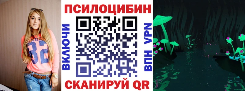 закладки Печора Галлюциногенные грибы мицелий
